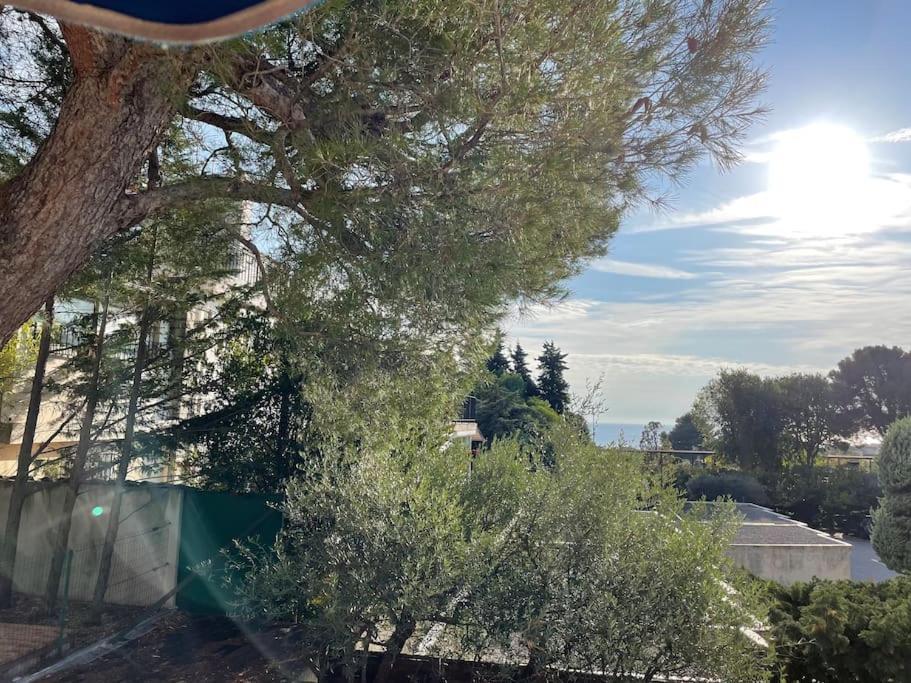 Cassis, Superbe Appartement Avec Terrasse 외부 사진
